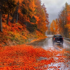 Александр Баранов